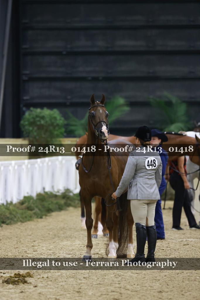Proof 24R13_01418