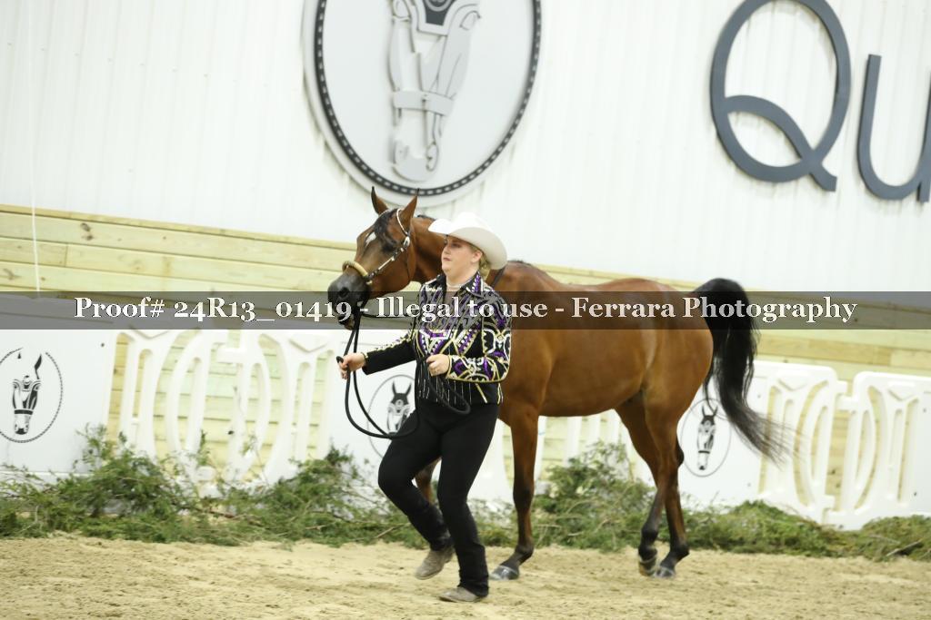 Proof 24R13_01419