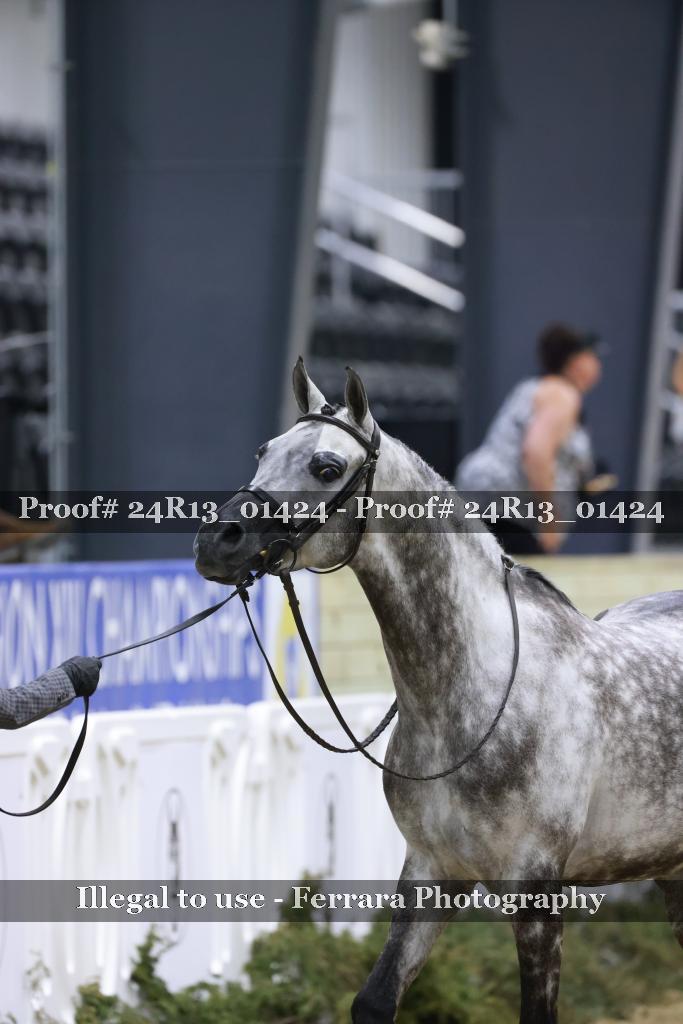 Proof 24R13_01424