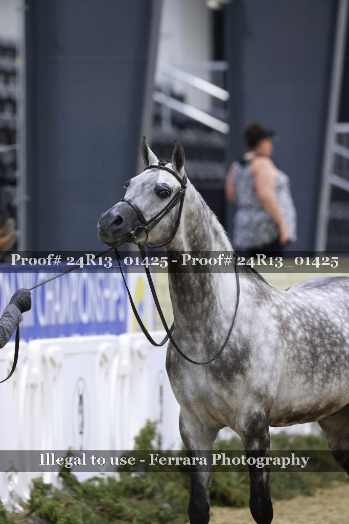 Proof 24R13_01425