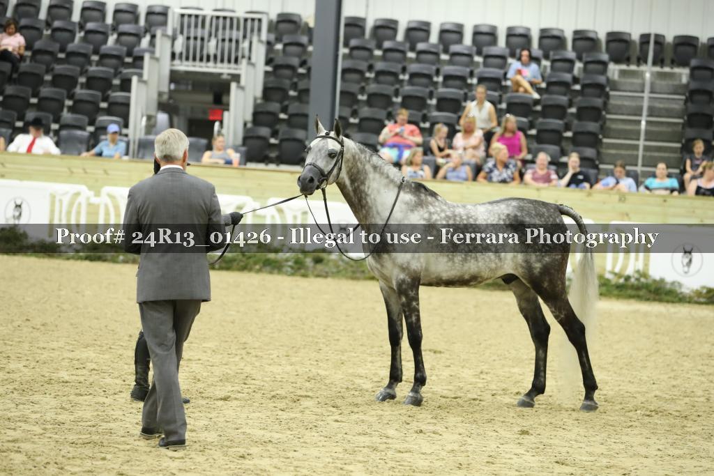 Proof 24R13_01426