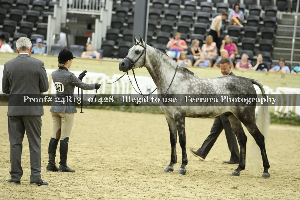 Proof 24R13_01428