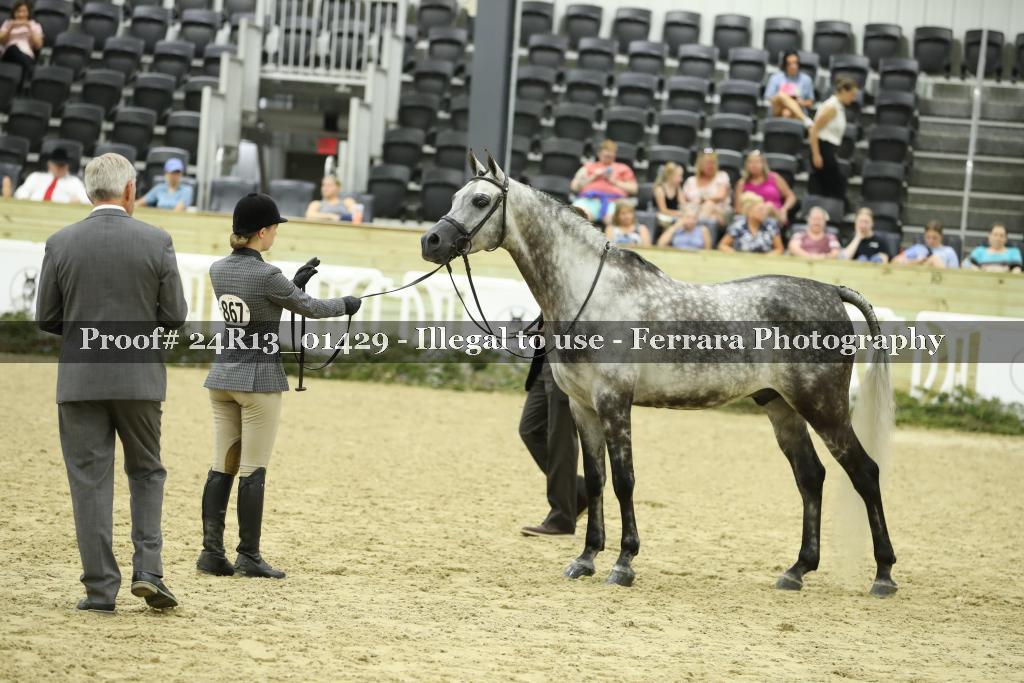 Proof 24R13_01429