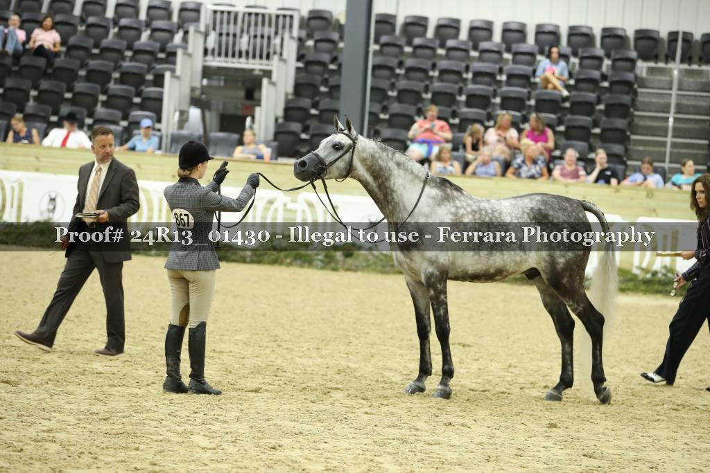 Proof 24R13_01430
