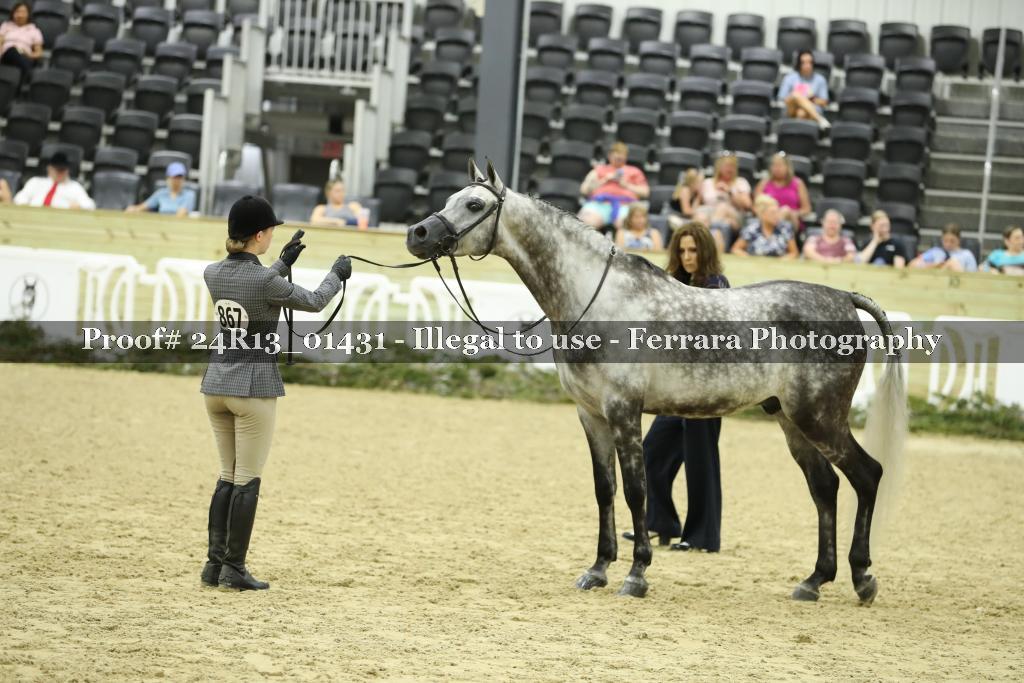 Proof 24R13_01431