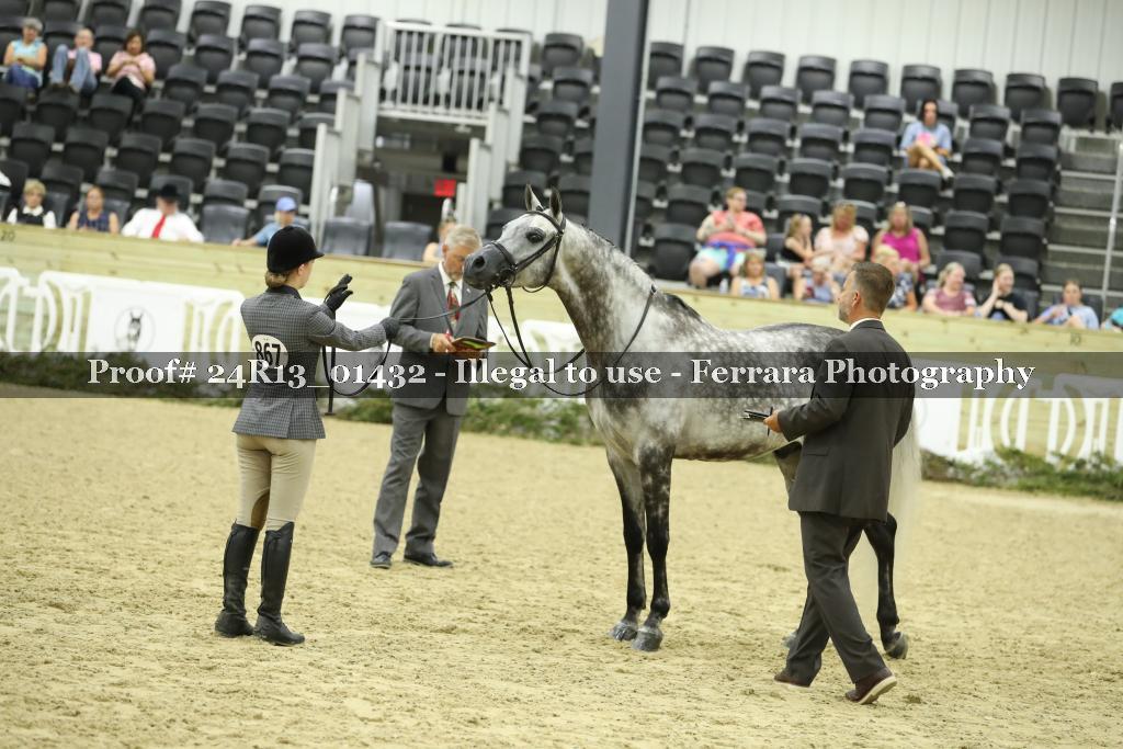 Proof 24R13_01432