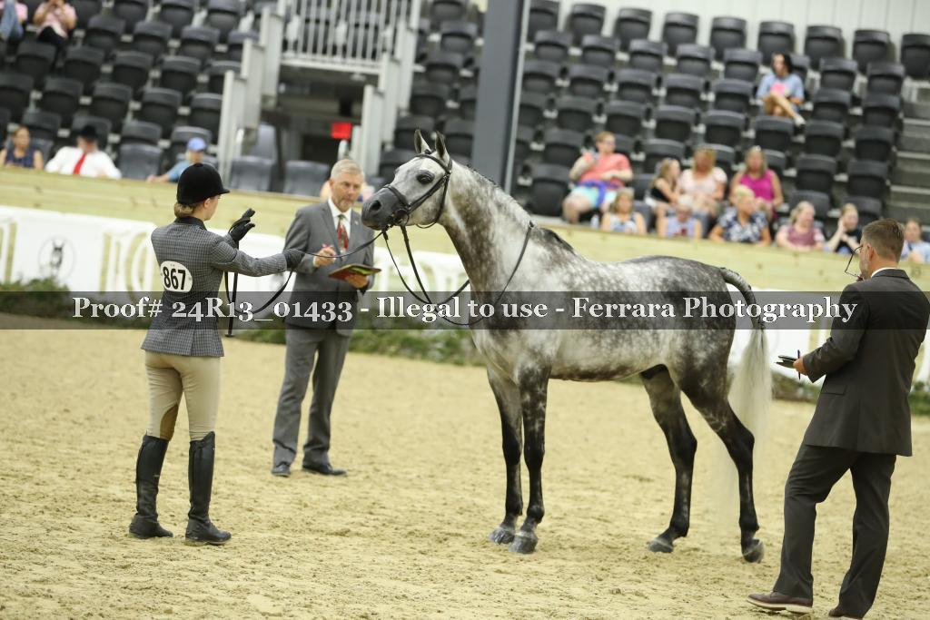 Proof 24R13_01433