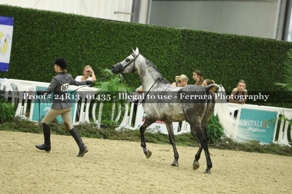 Proof 24R13_01435