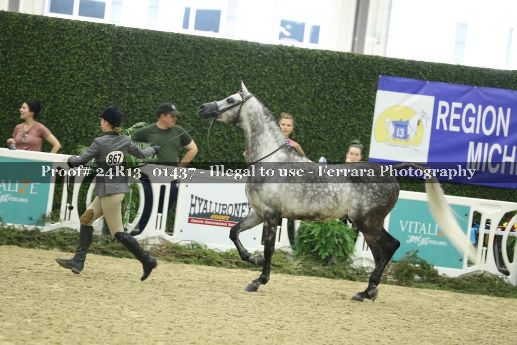 Proof 24R13_01437