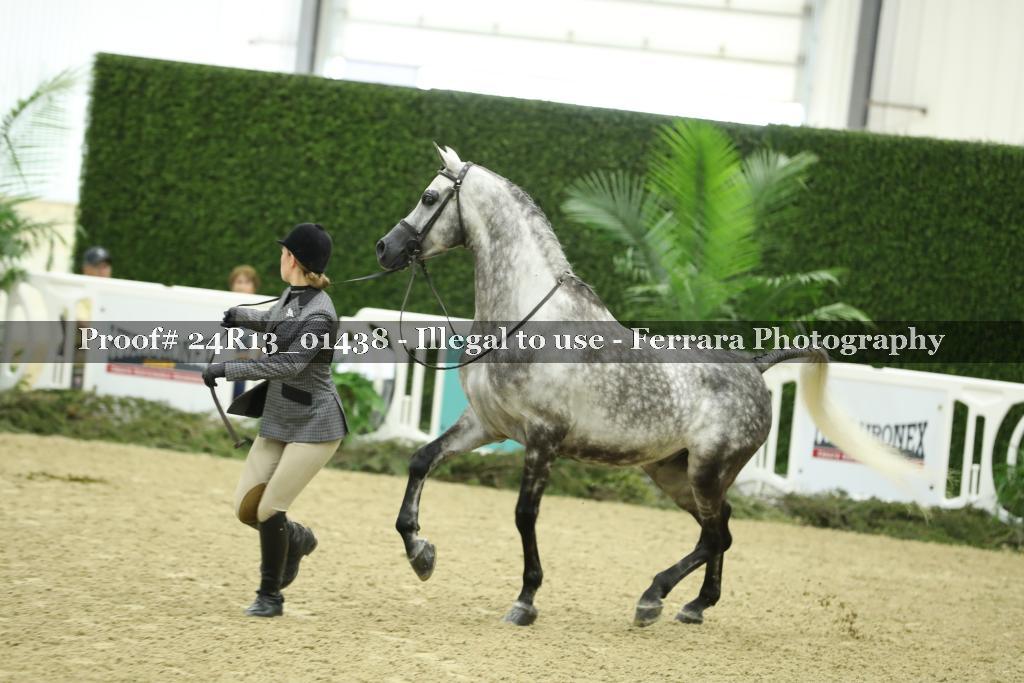 Proof 24R13_01438