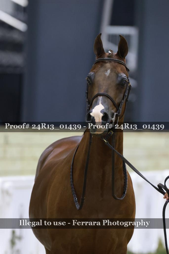 Proof 24R13_01439