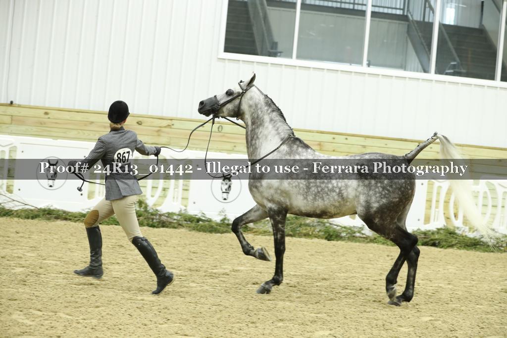 Proof 24R13_01442