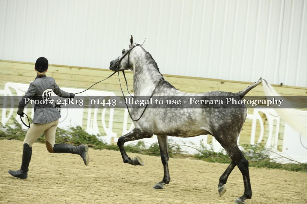 Proof 24R13_01443
