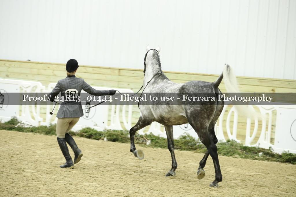 Proof 24R13_01444