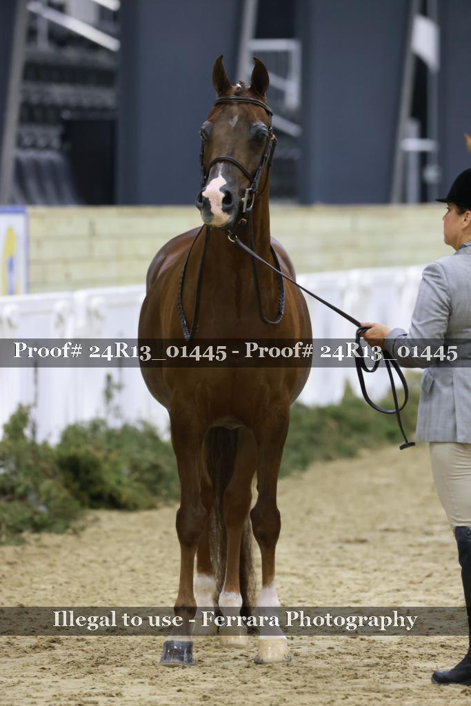 Proof 24R13_01445