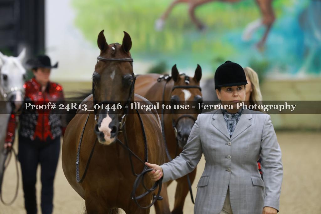 Proof 24R13_01446