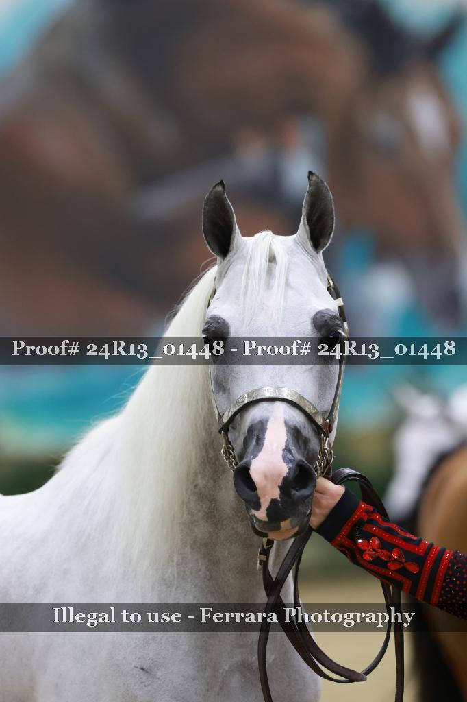 Proof 24R13_01448