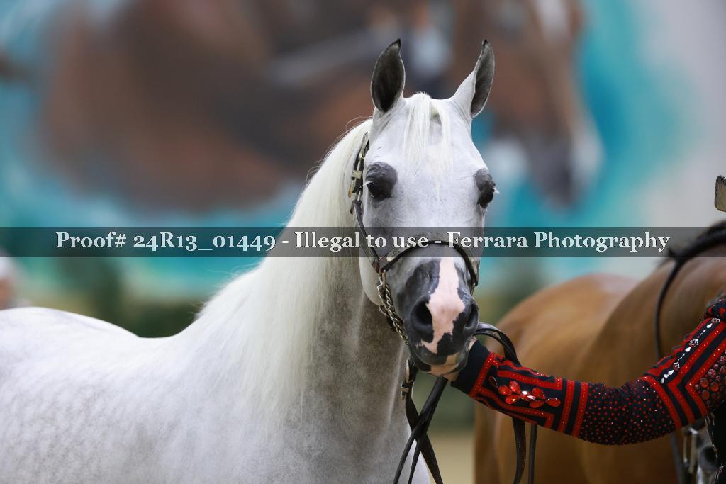 Proof 24R13_01449