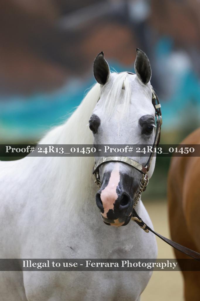 Proof 24R13_01450
