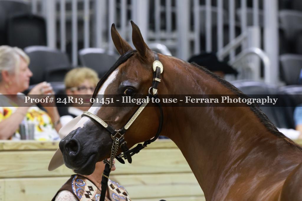 Proof 24R13_01451