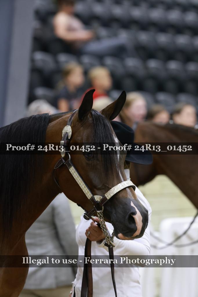 Proof 24R13_01452