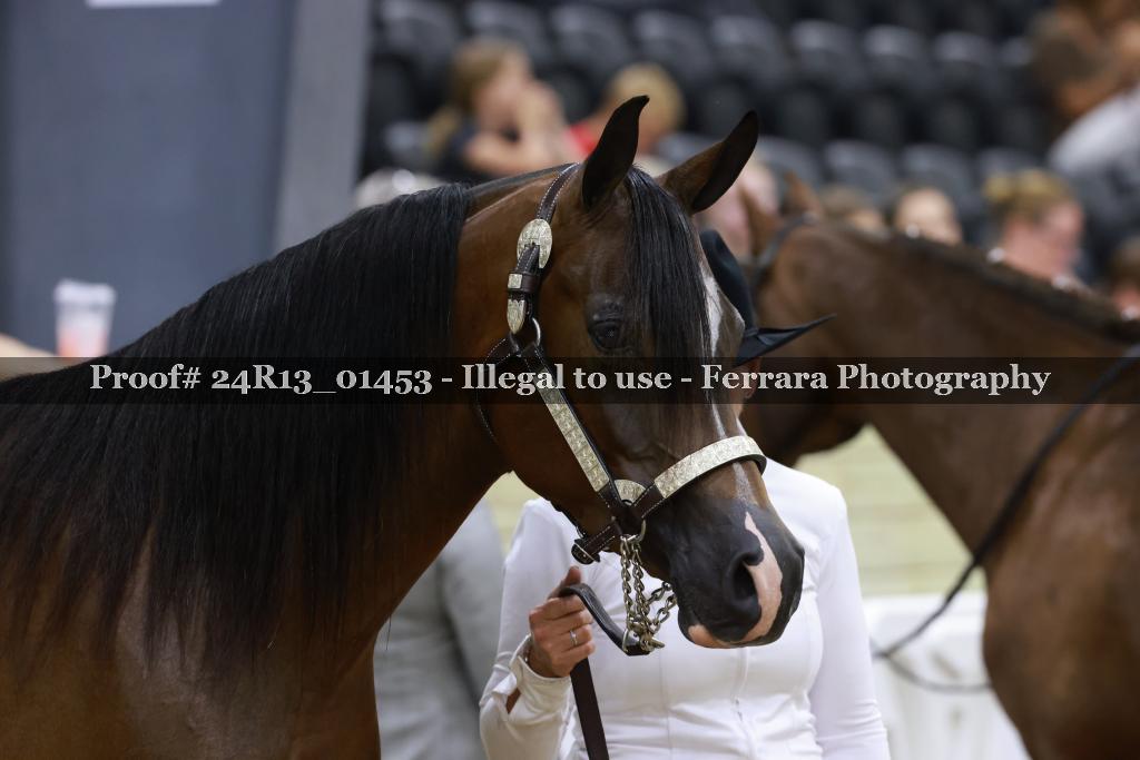 Proof 24R13_01453