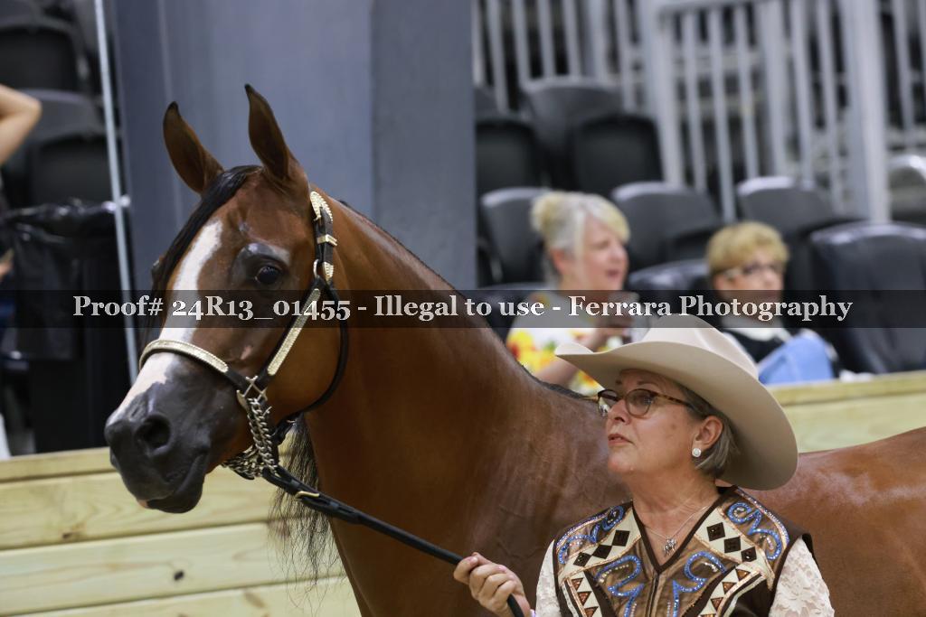 Proof 24R13_01455