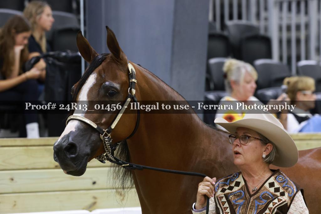 Proof 24R13_01456