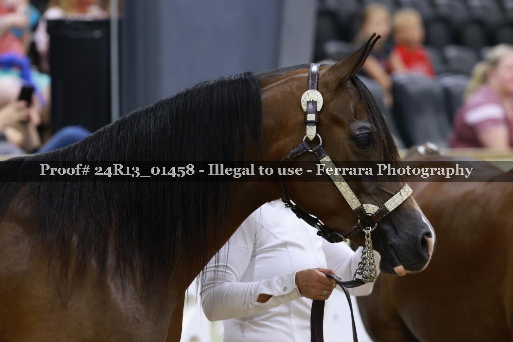 Proof 24R13_01458
