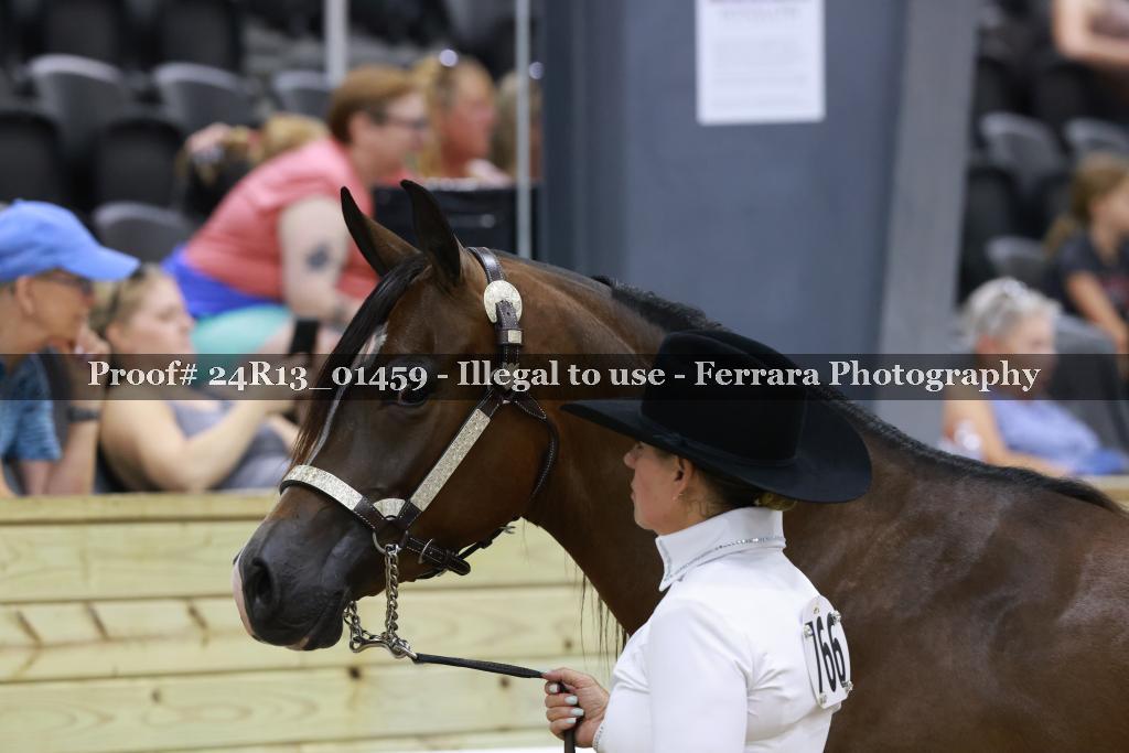 Proof 24R13_01459