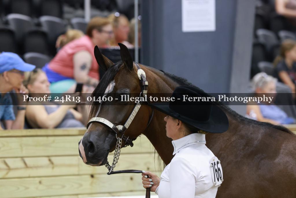 Proof 24R13_01460