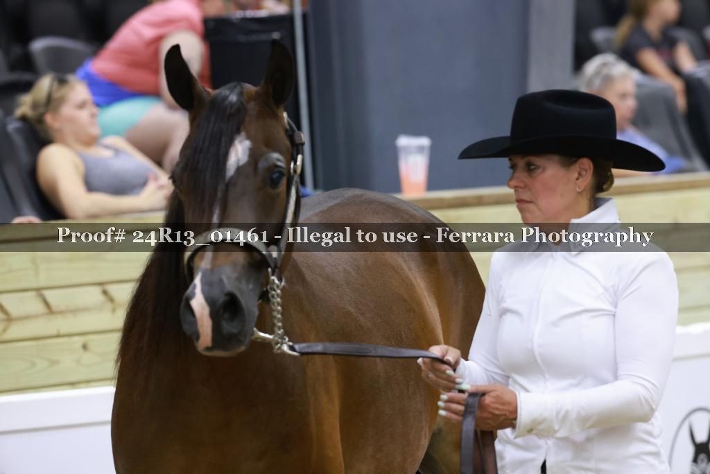 Proof 24R13_01461