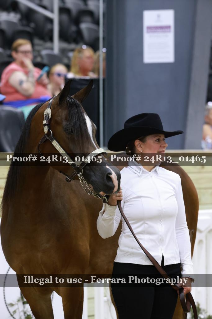 Proof 24R13_01465