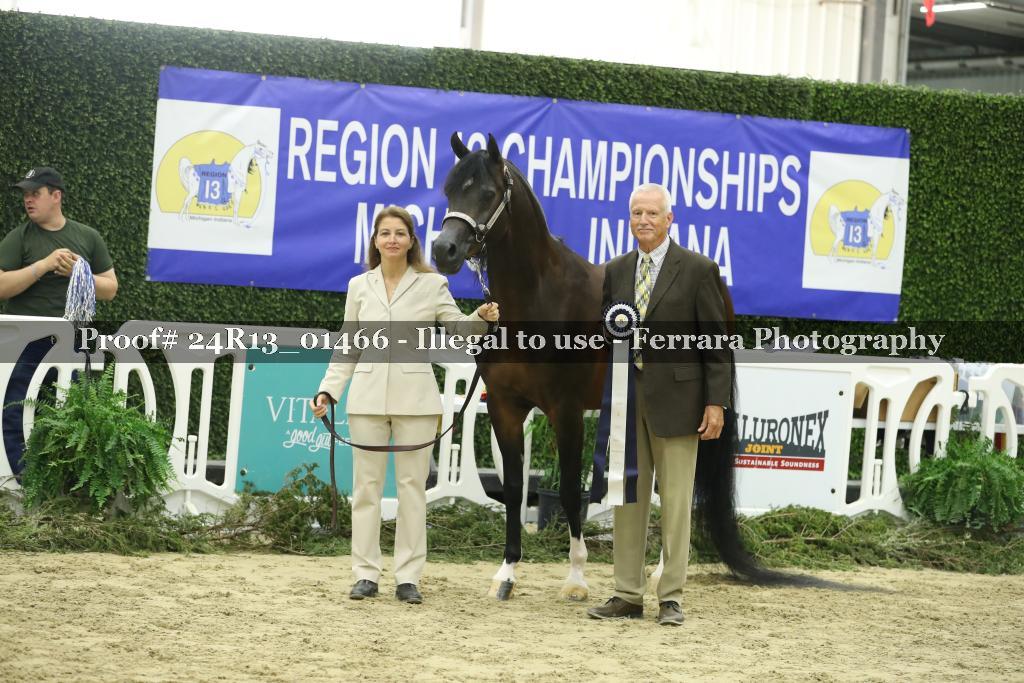 Proof 24R13_01466