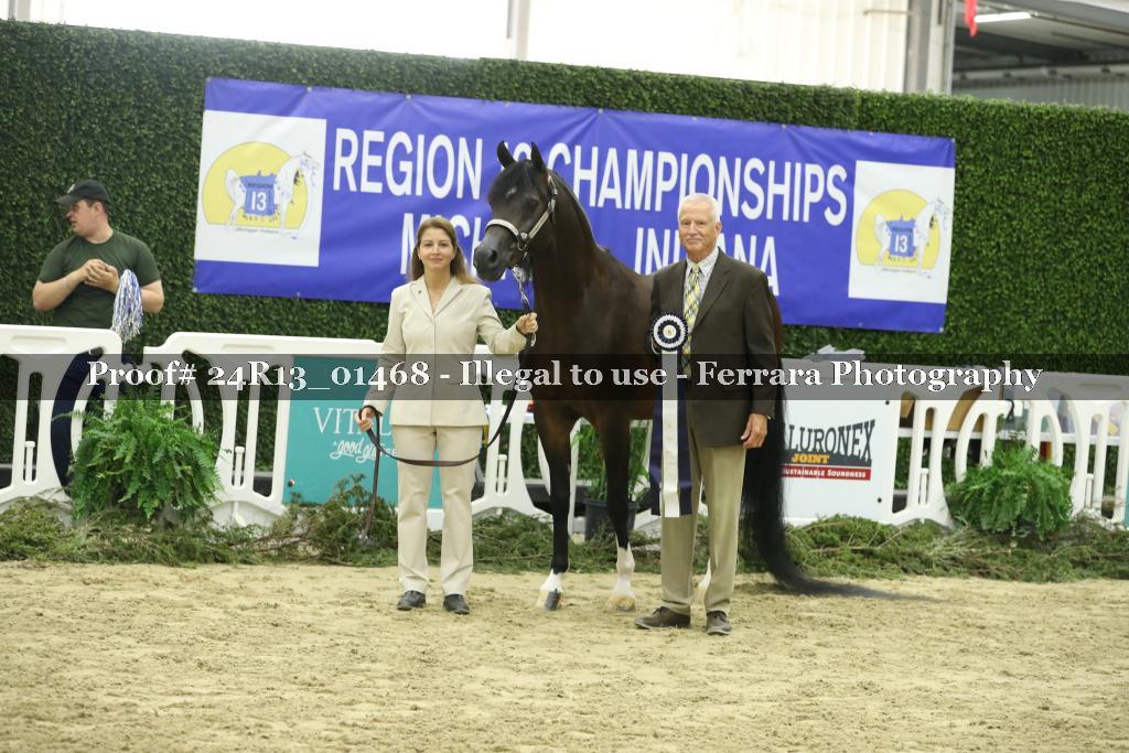 Proof 24R13_01468