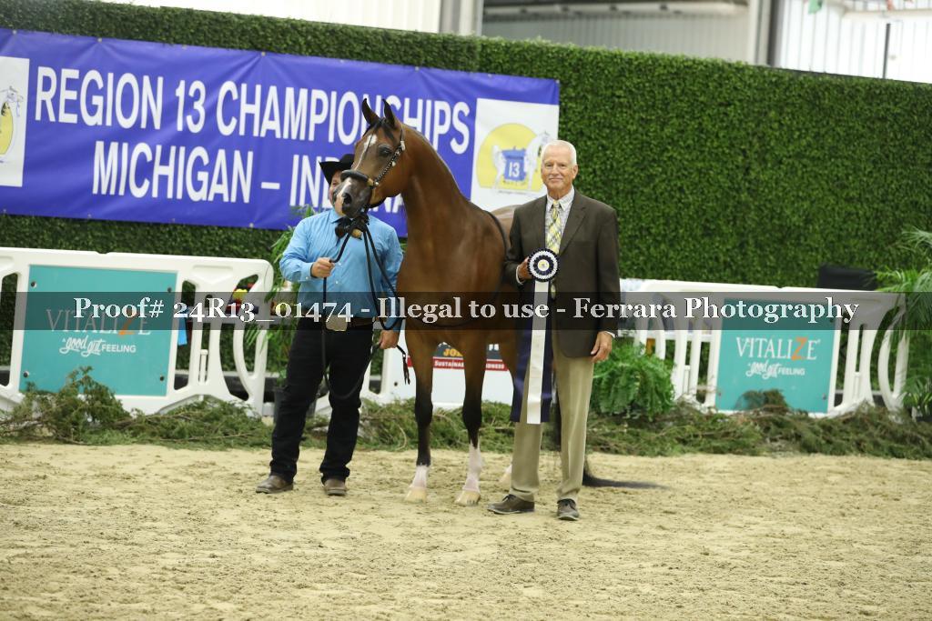 Proof 24R13_01474