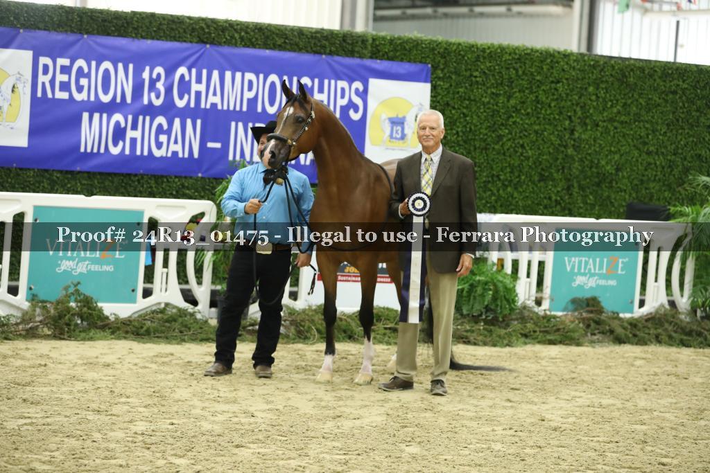 Proof 24R13_01475
