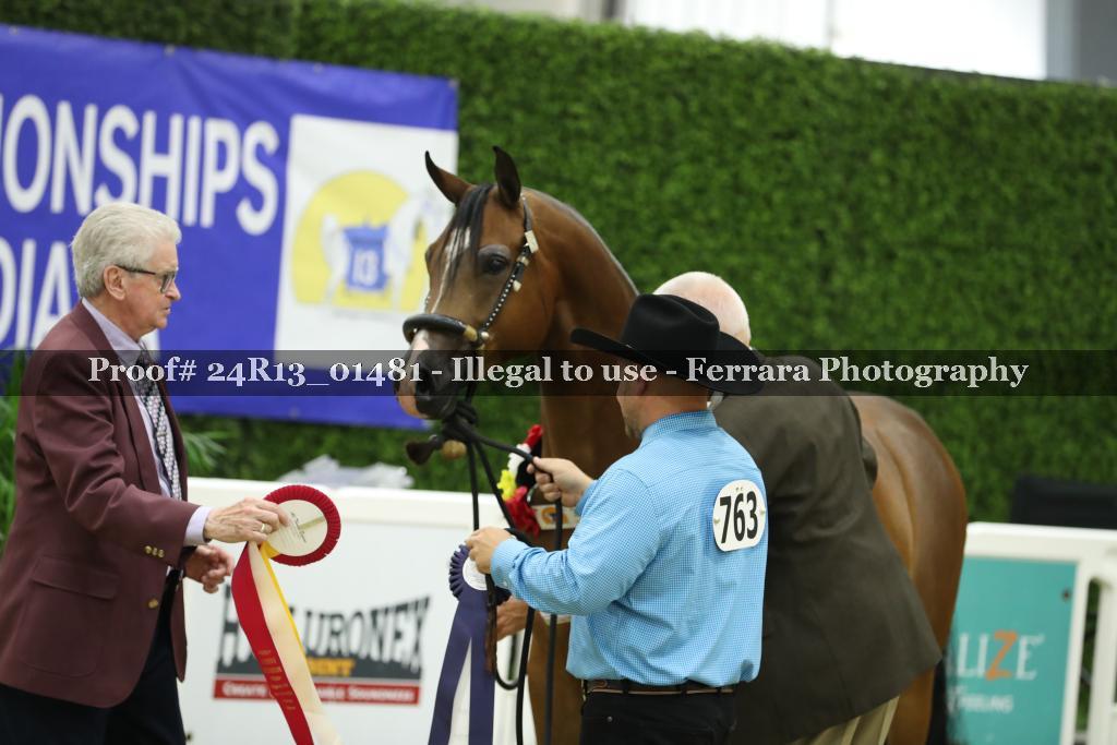 Proof 24R13_01481