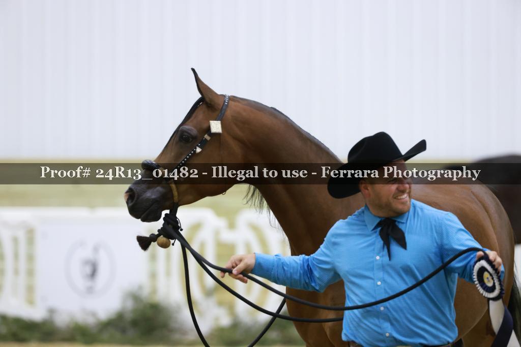 Proof 24R13_01482