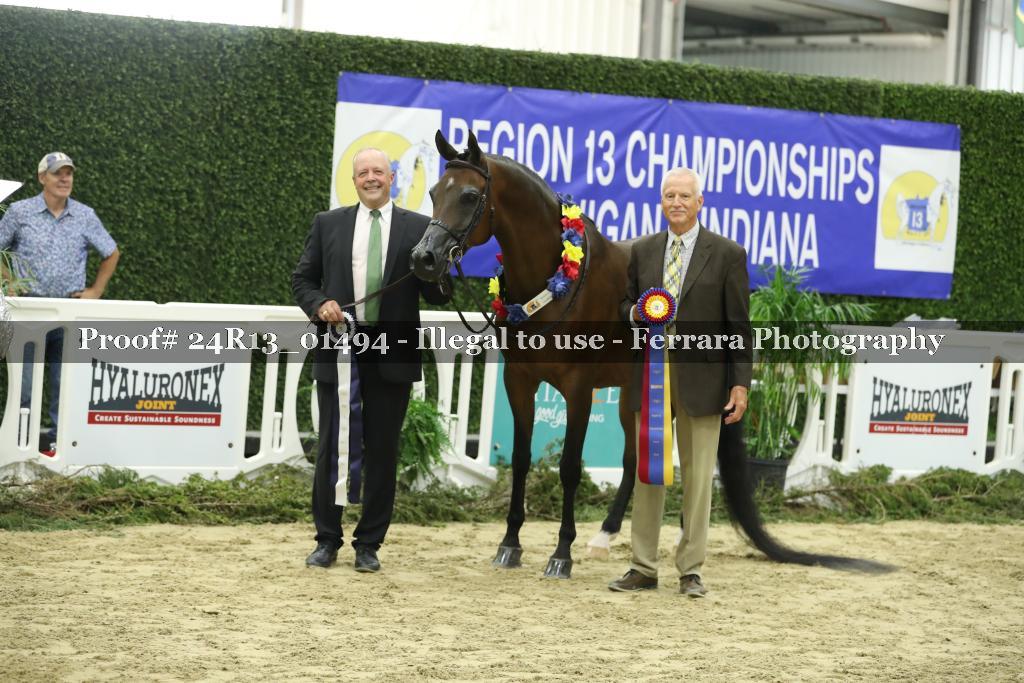 Proof 24R13_01494