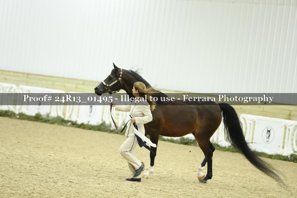 Proof 24R13_01495