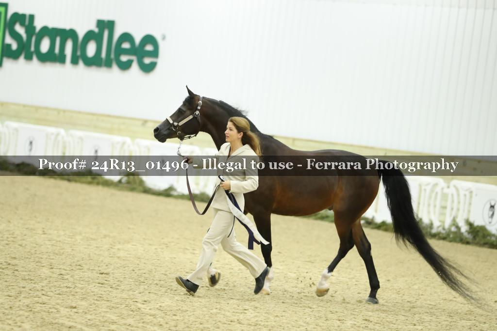 Proof 24R13_01496