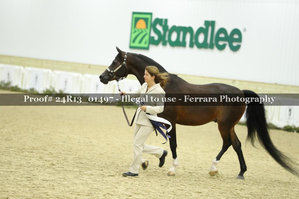 Proof 24R13_01497