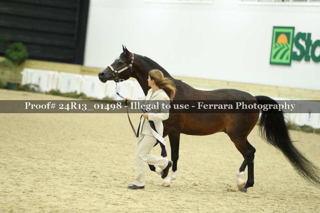 Proof 24R13_01498