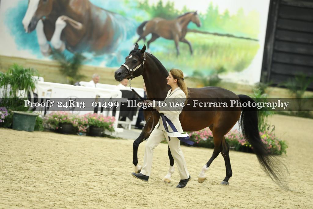 Proof 24R13_01499