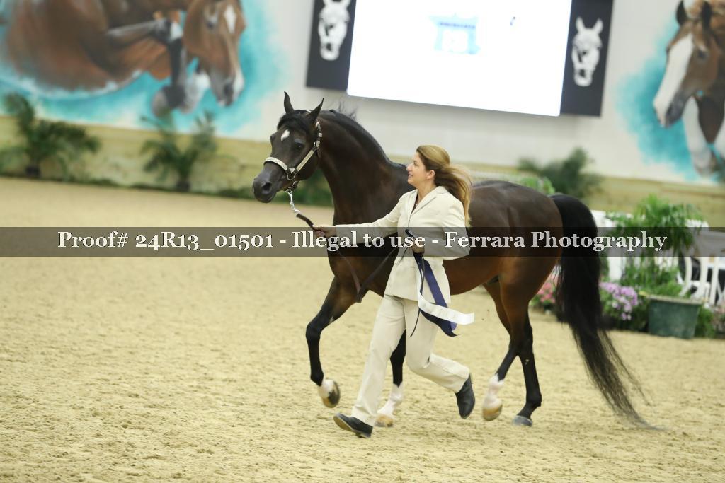 Proof 24R13_01501