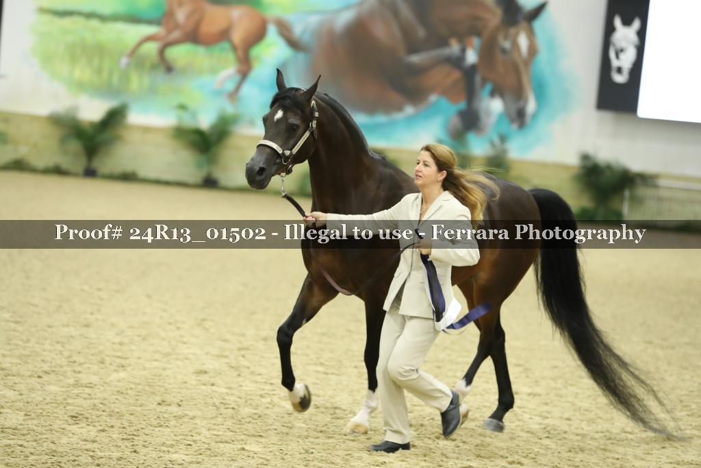 Proof 24R13_01502