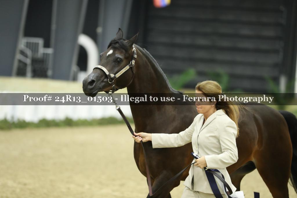 Proof 24R13_01503