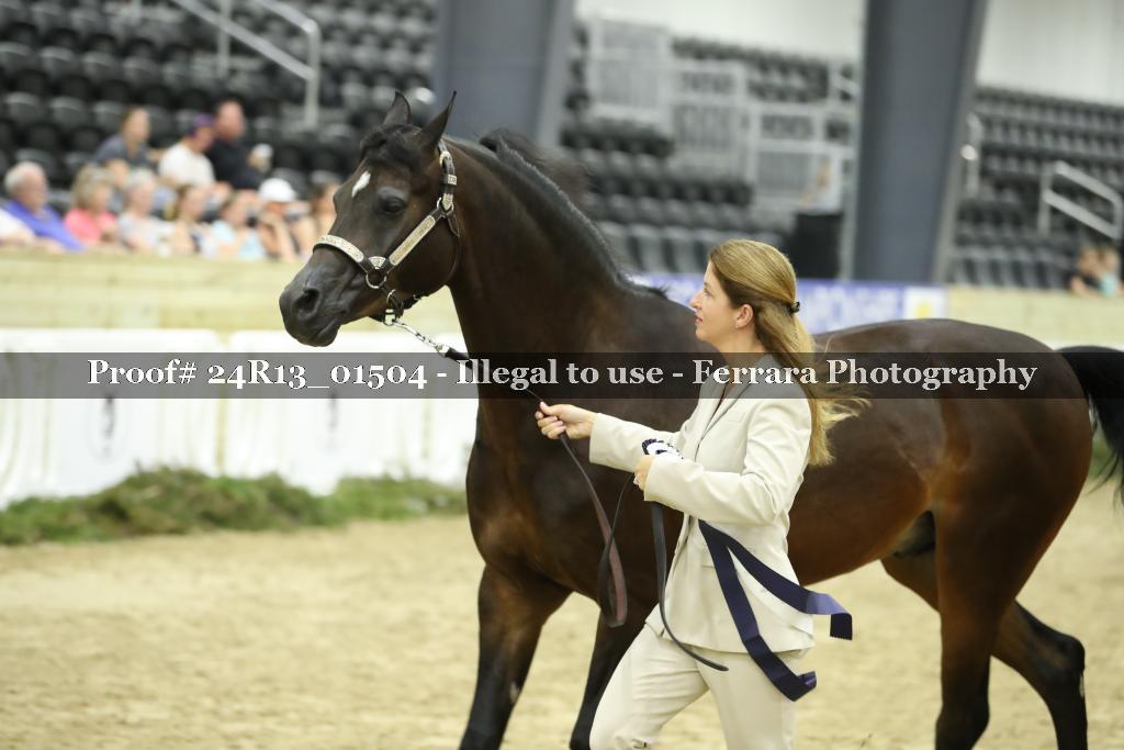 Proof 24R13_01504