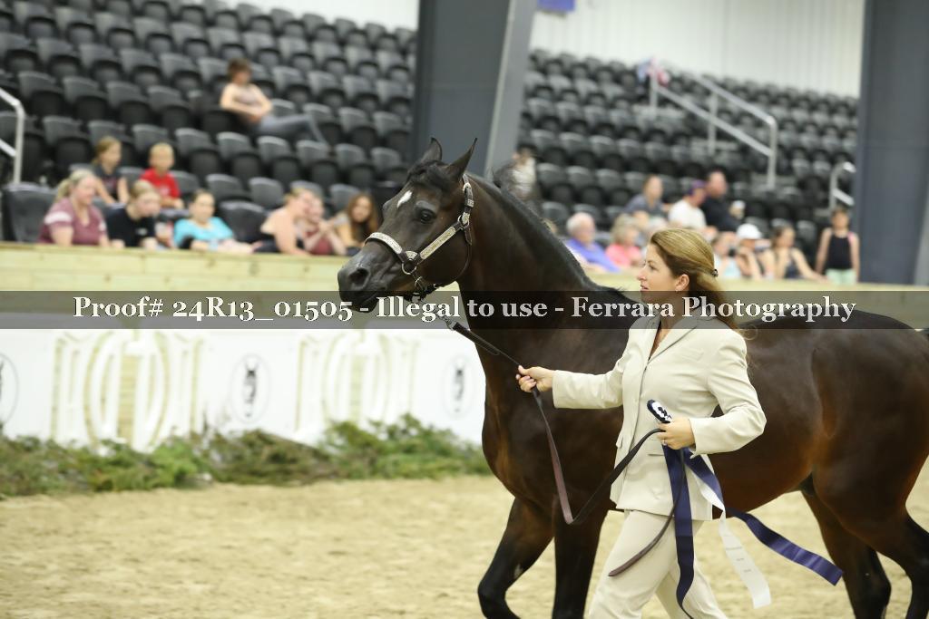 Proof 24R13_01505